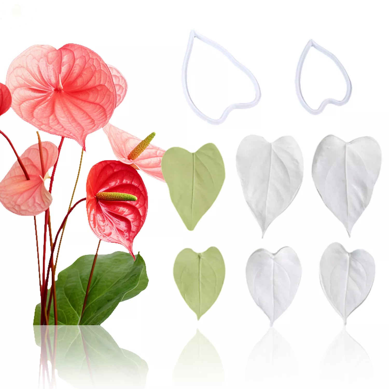 Realistic Anthurium Leaf Sugar Paste Cutting And Embossing Silicone Mold Set