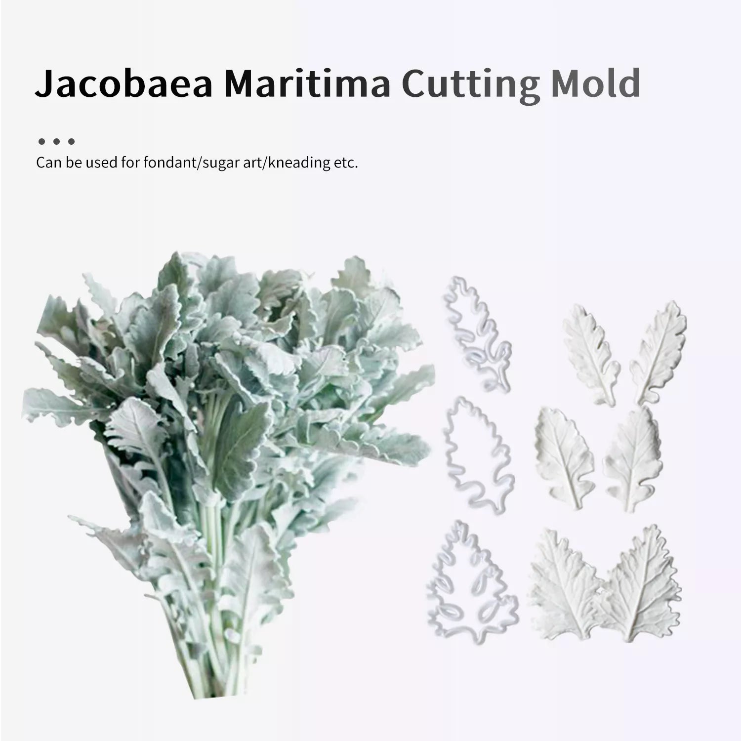 Realistic Dusty Miller Leaf Sugar Paste Cutting And Embossing Silicone Mold Set