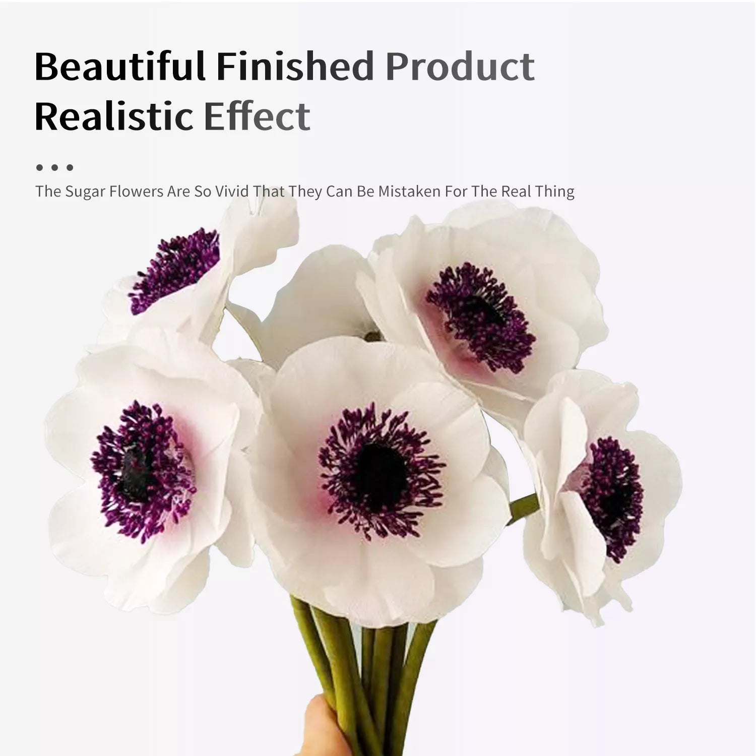 Realistic Anemone Sugar Paste Cutting And Embossing Silicone Mold Set