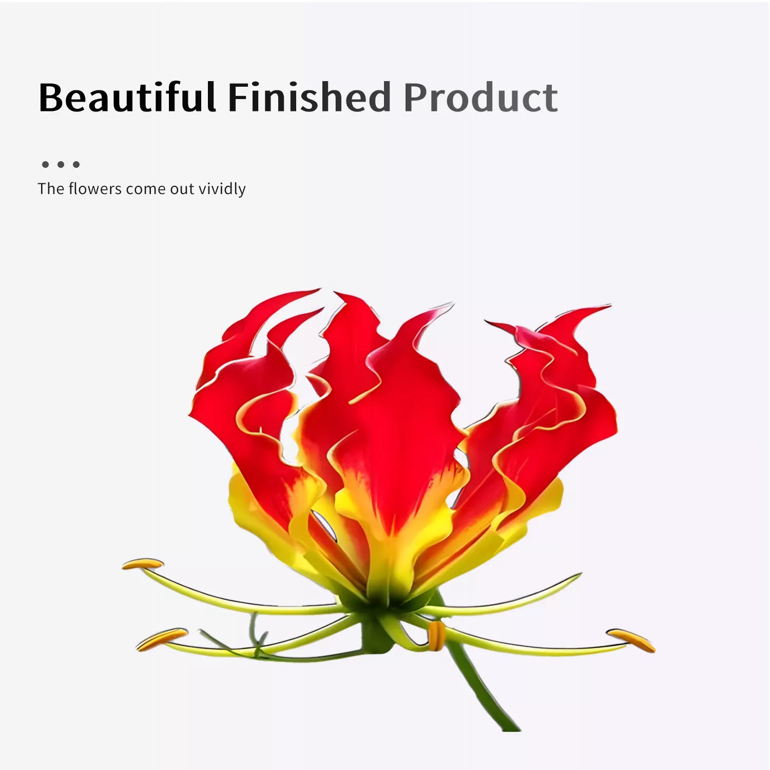 Realistic Gloriosa Lily Sugar Paste Cutting And Embossing Silicone Mold Set