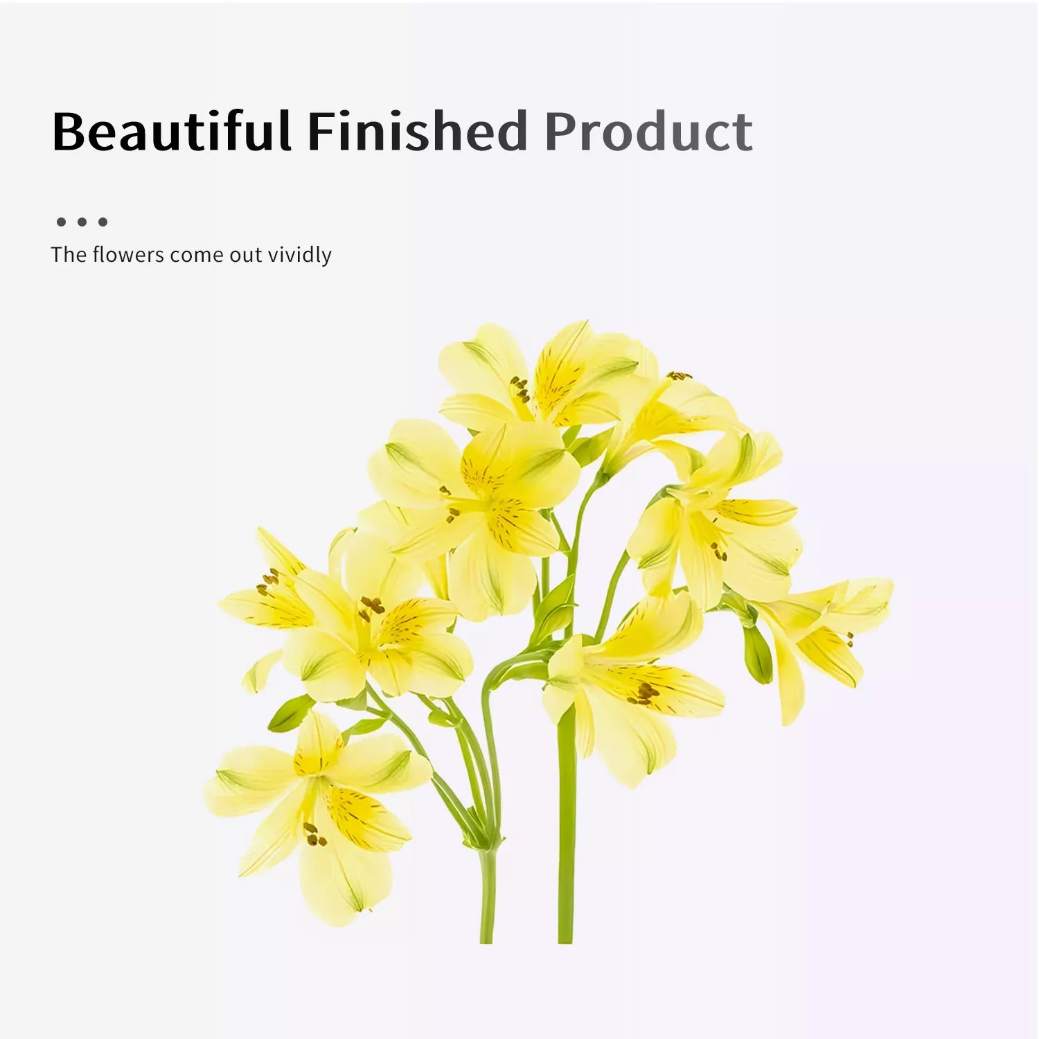 Realistic Narcissus and Alstroemeria Leaf Sugar Paste Cutting And Embossing Silicone Mold Set