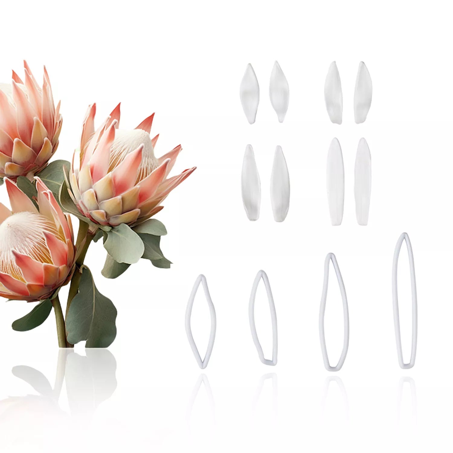 Realistic Protea Sugar Paste Cutting And Embossing Silicone Mold Set