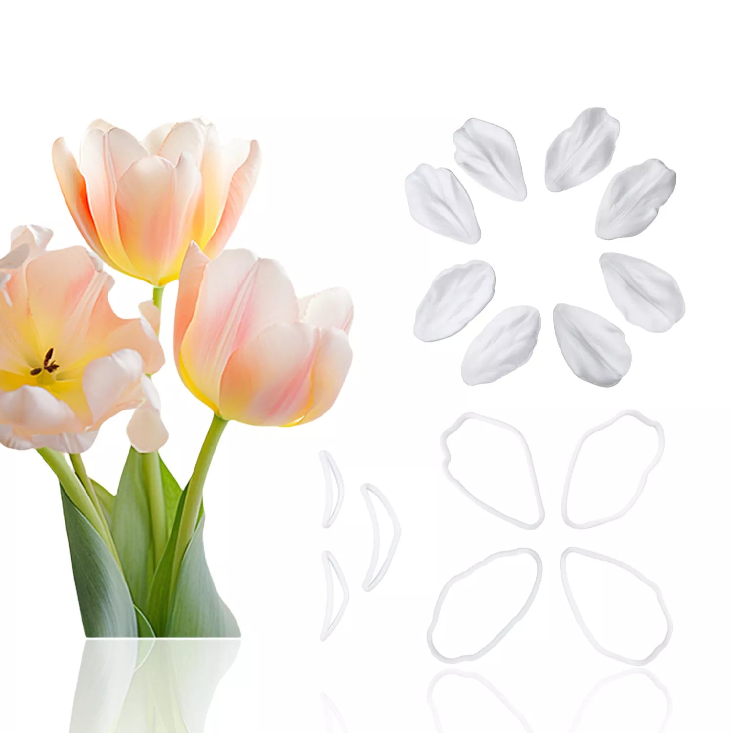 Realistic Tulip Sugar Paste Cutting And Embossing Silicone Mold Set