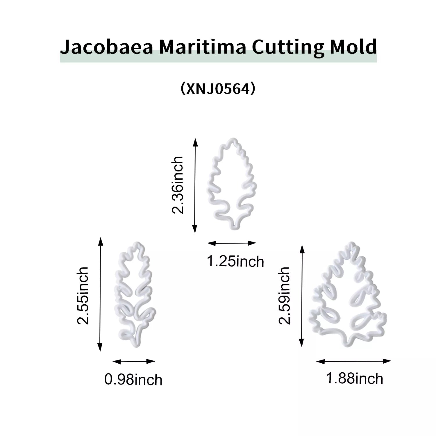 Realistic Dusty Miller Leaf Sugar Paste Cutting And Embossing Silicone Mold Set