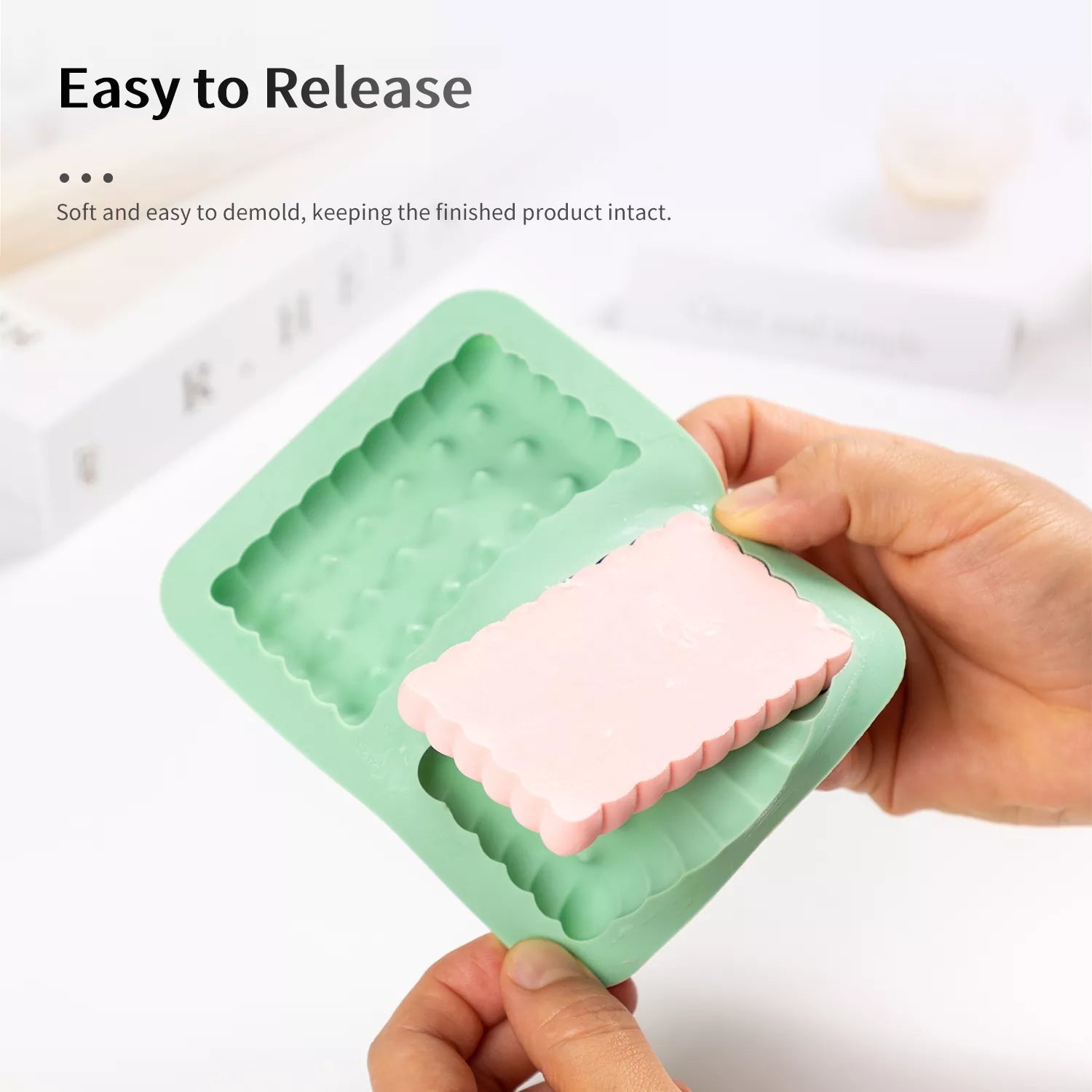 Cookie & Mousse Mold Set
